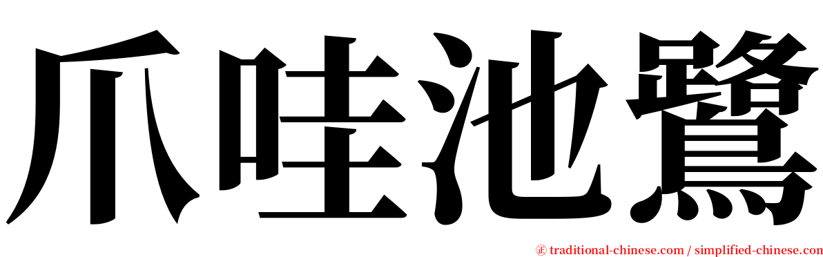 爪哇池鷺 serif font