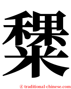 䊬 serif font