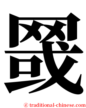 䍞 serif font