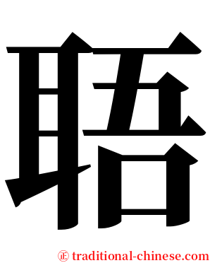 䎸 serif font