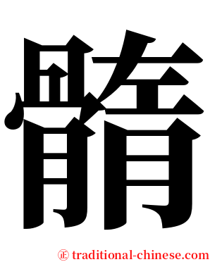 䯝 serif font