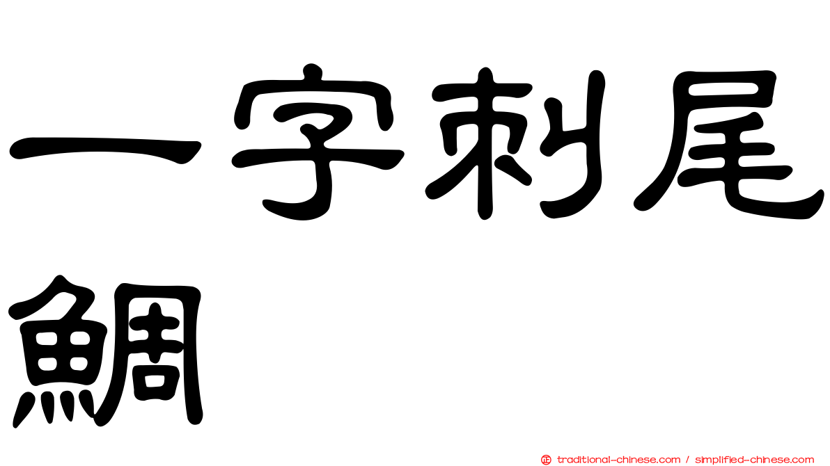 一字刺尾鯛