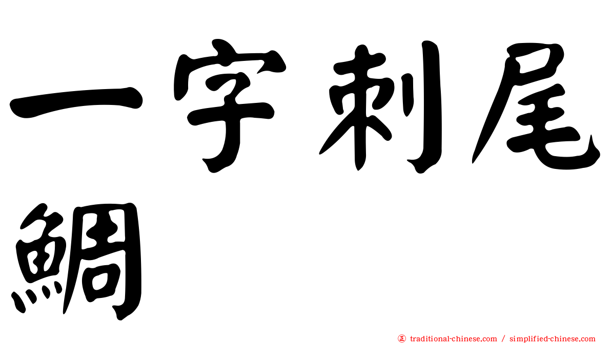 一字刺尾鯛