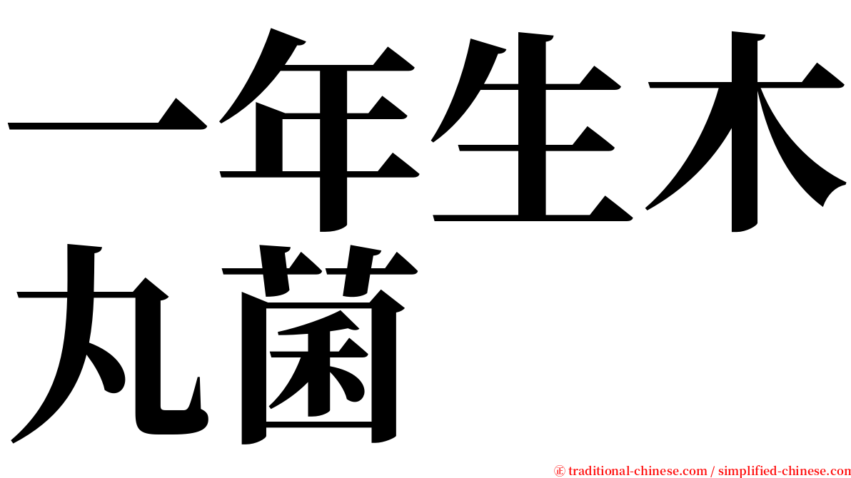 一年生木丸菌 serif font