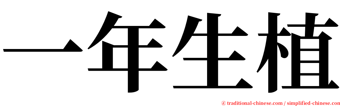 一年生植 serif font