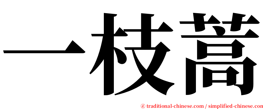 一枝蒿 serif font