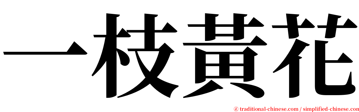 一枝黃花 serif font