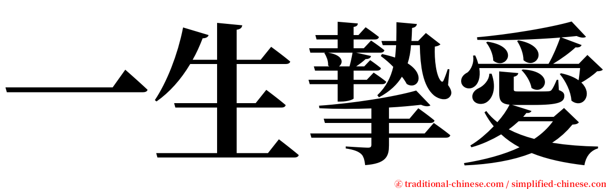 一生摯愛 serif font