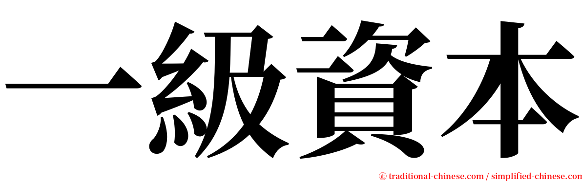 一級資本 serif font