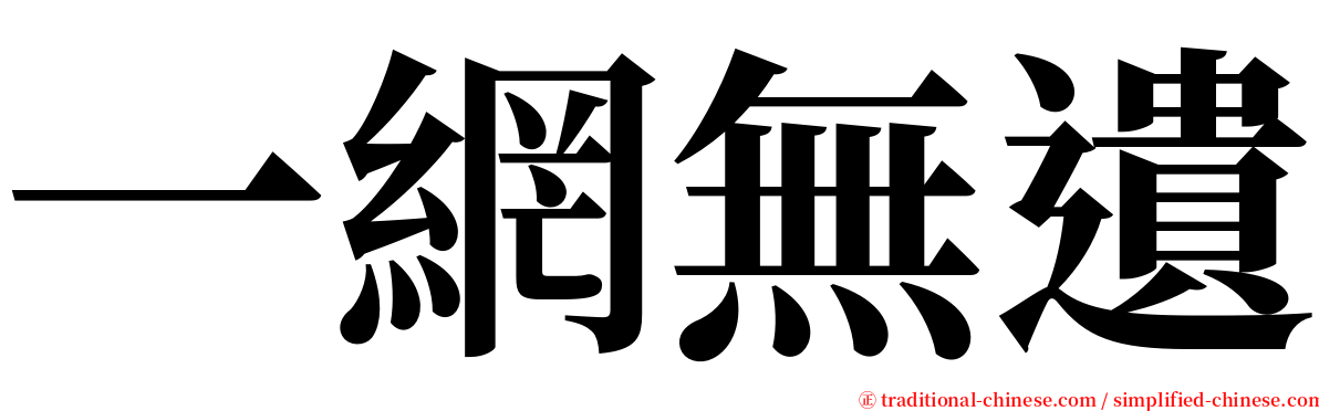 一網無遺 serif font