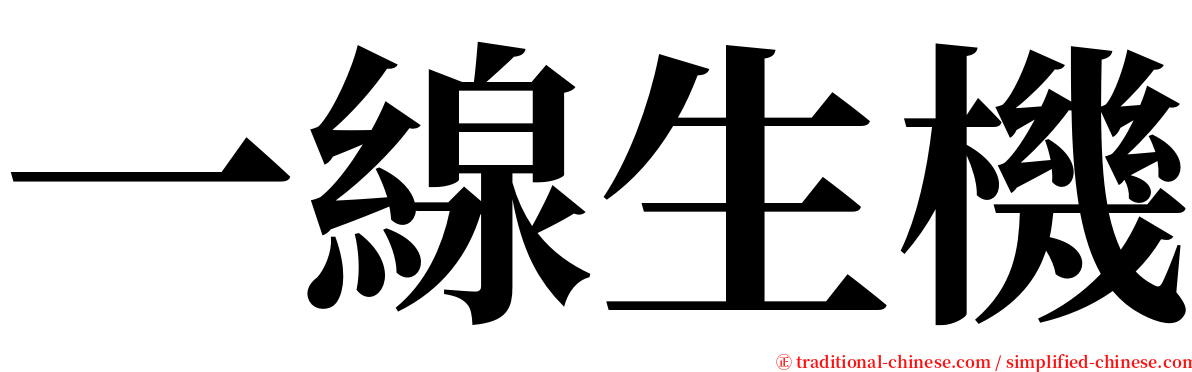 一線生機 serif font