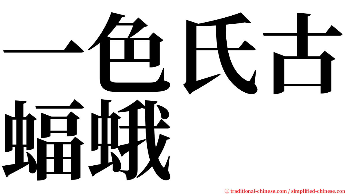 一色氏古蝠蛾 serif font