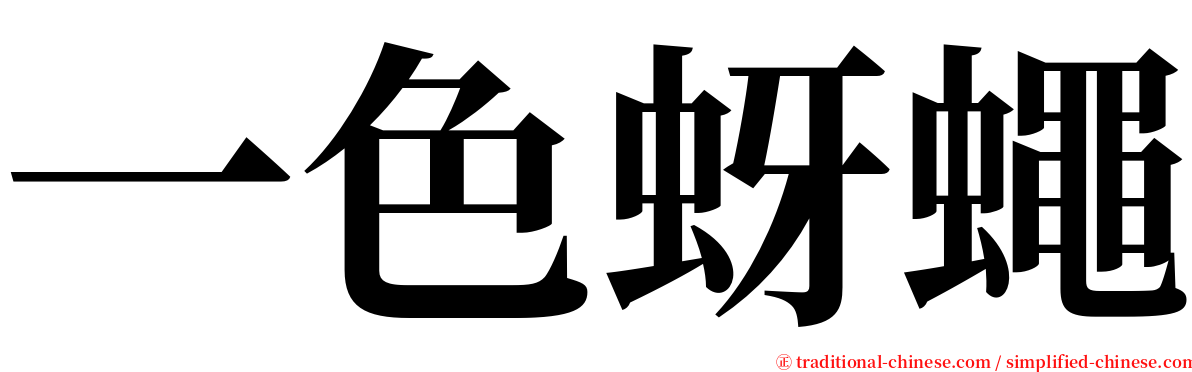 一色蚜蠅 serif font