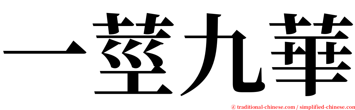 一莖九華 serif font