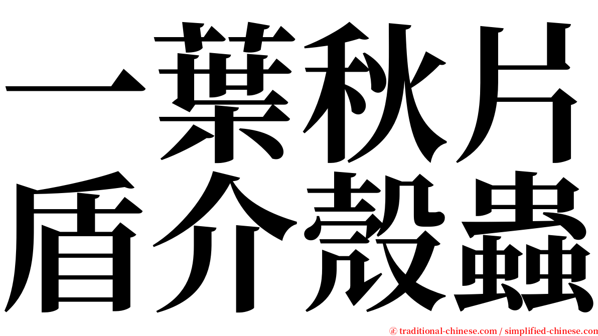 一葉秋片盾介殼蟲 serif font