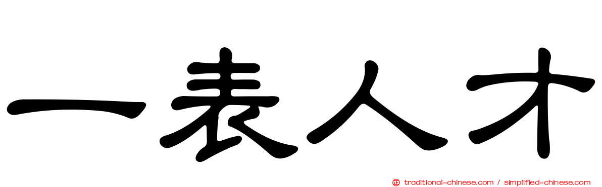 一表人才