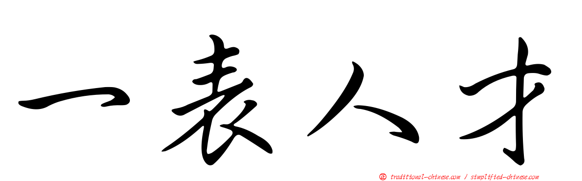 一表人才