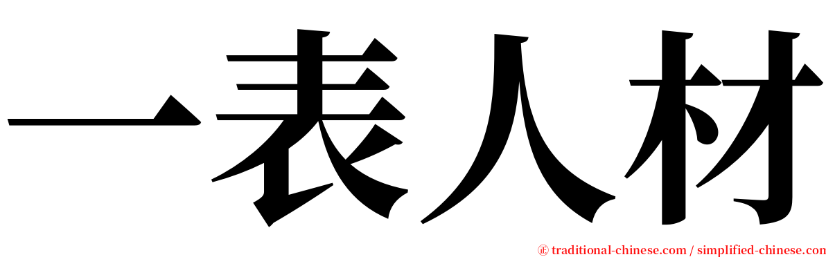 一表人材 serif font