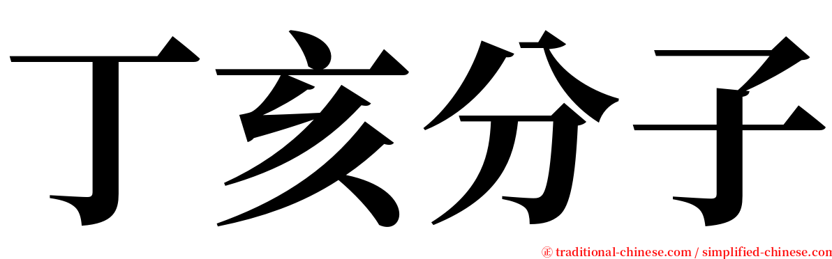 丁亥分子 serif font