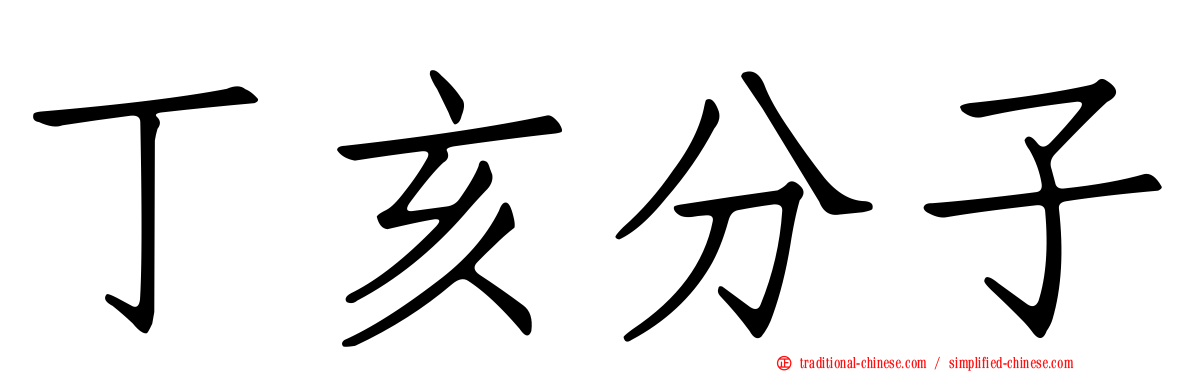 丁亥分子