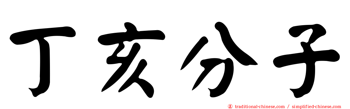 丁亥分子
