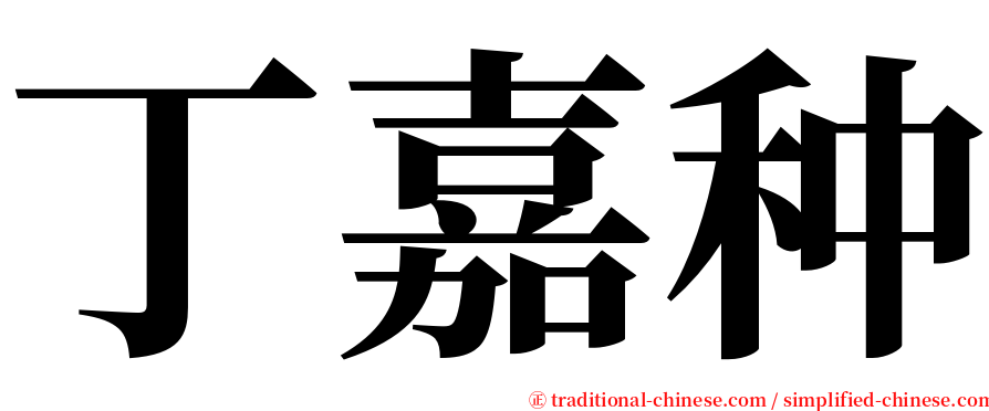 丁嘉种 serif font