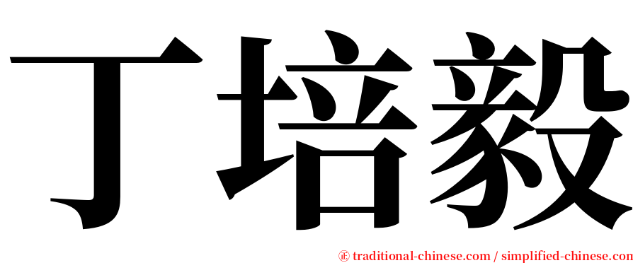 丁培毅 serif font