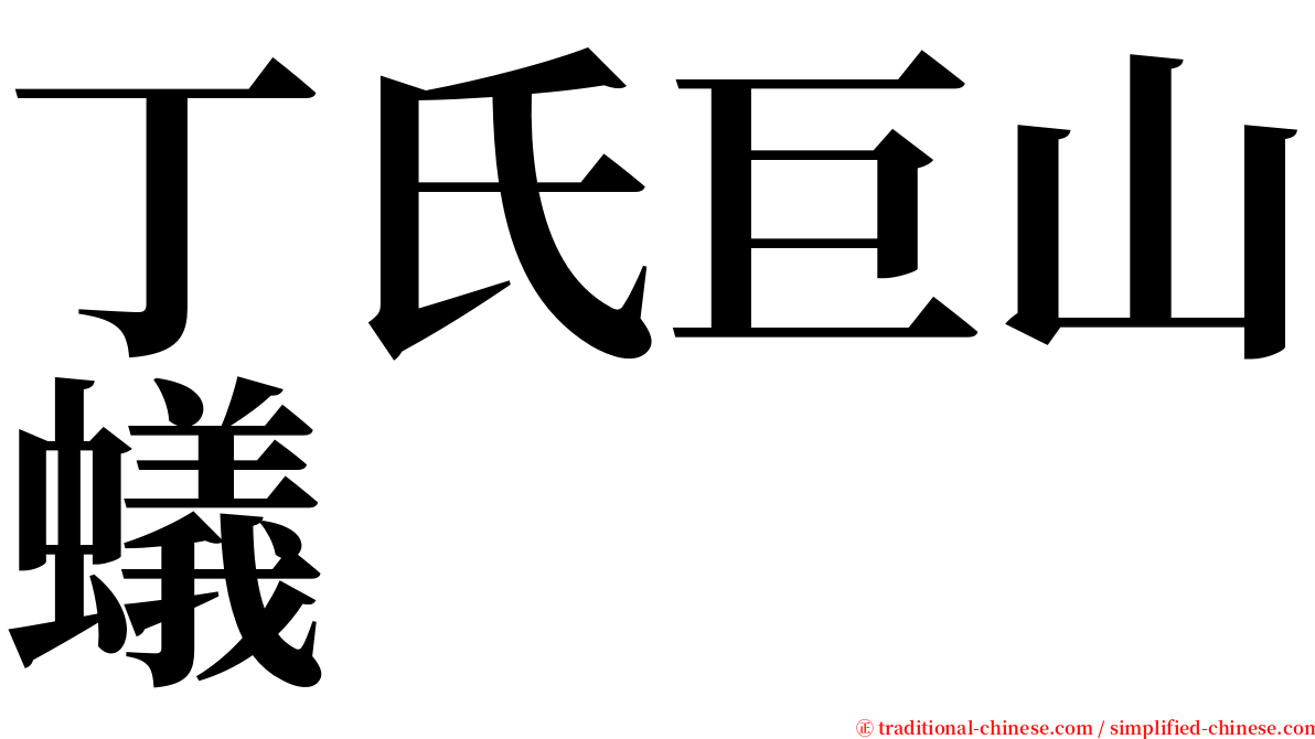 丁氏巨山蟻 serif font