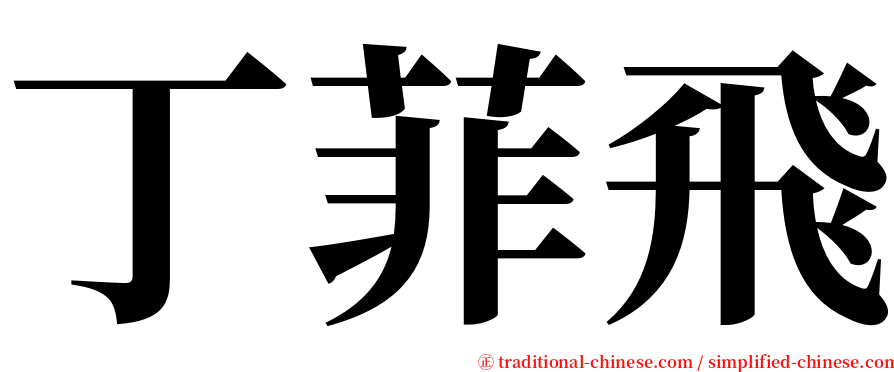 丁菲飛 serif font