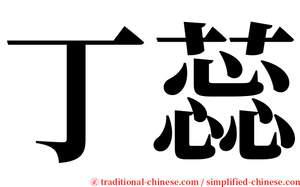 丁蕊 serif font