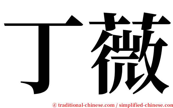 丁薇 serif font