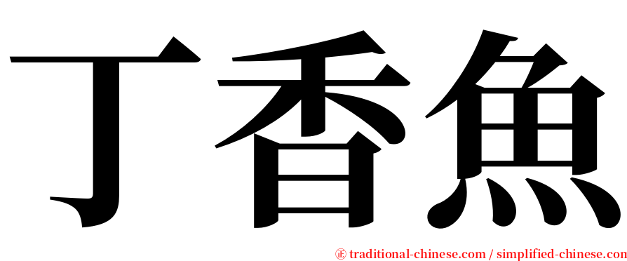 丁香魚 serif font