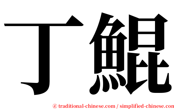 丁鯤 serif font