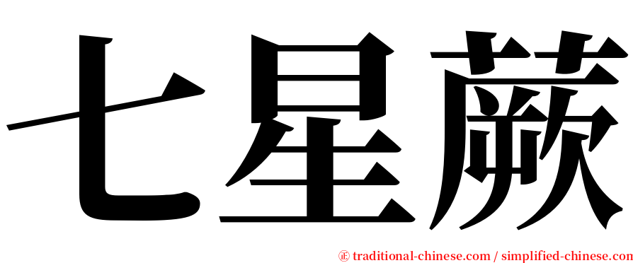 七星蕨 serif font