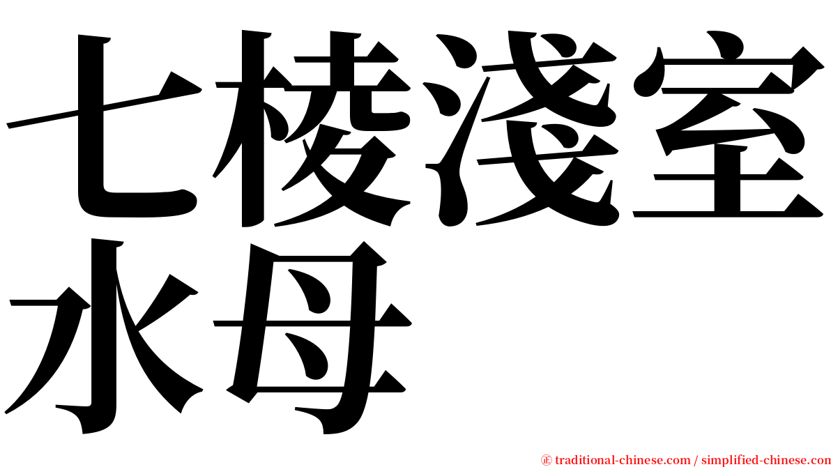 七棱淺室水母 serif font