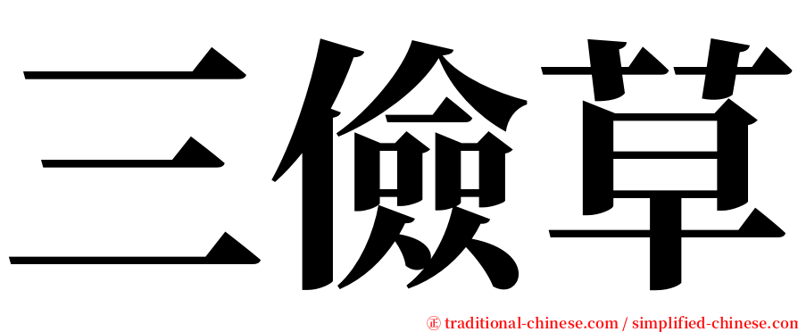 三儉草 serif font