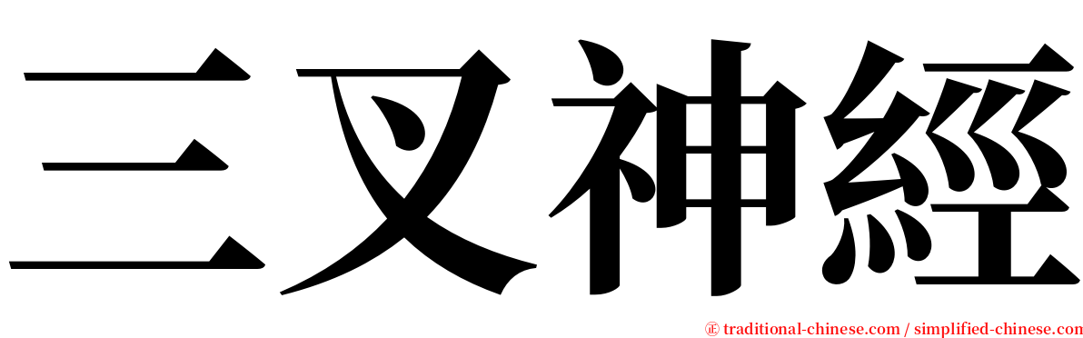 三叉神經 serif font