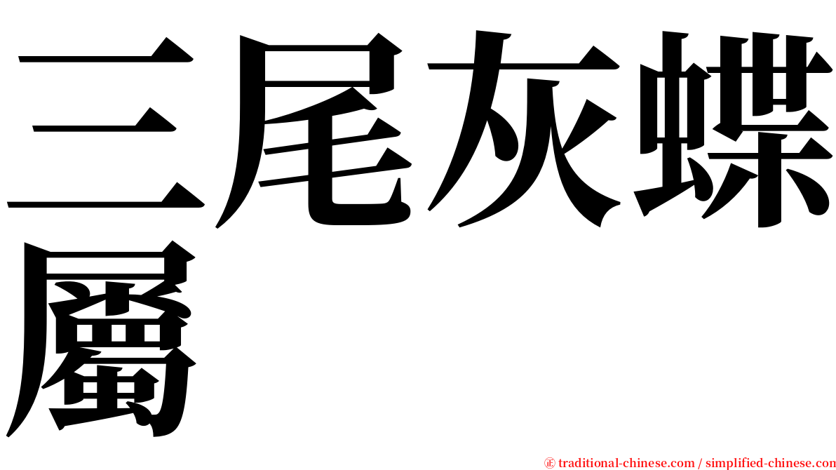 三尾灰蝶屬 serif font