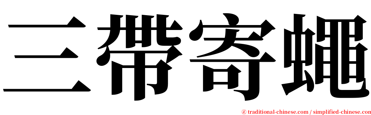 三帶寄蠅 serif font