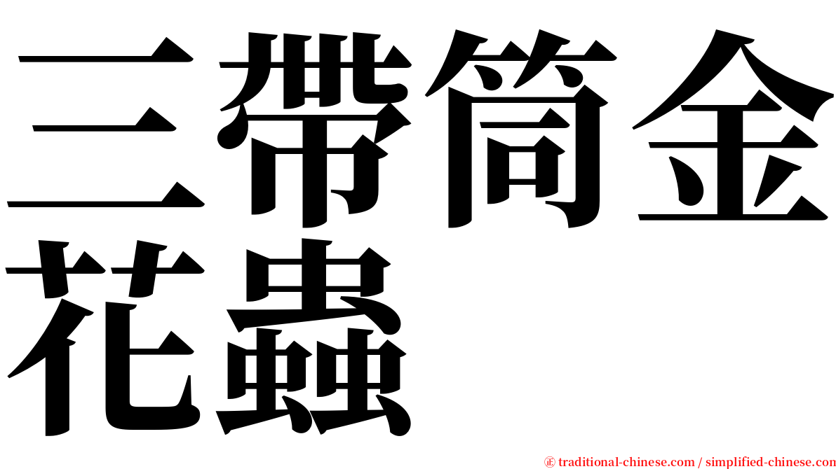 三帶筒金花蟲 serif font