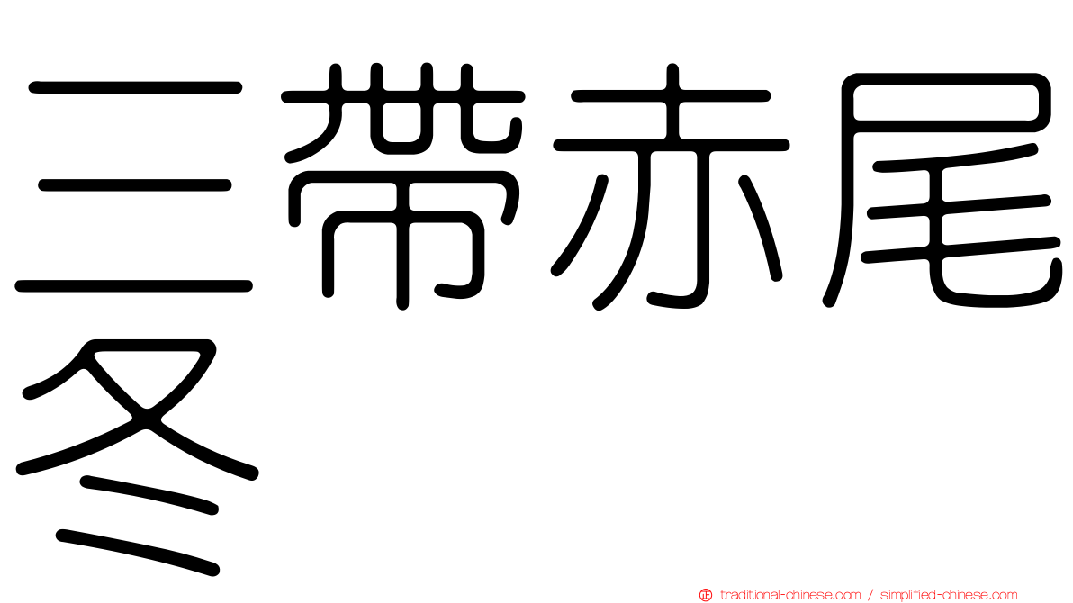 三帶赤尾冬