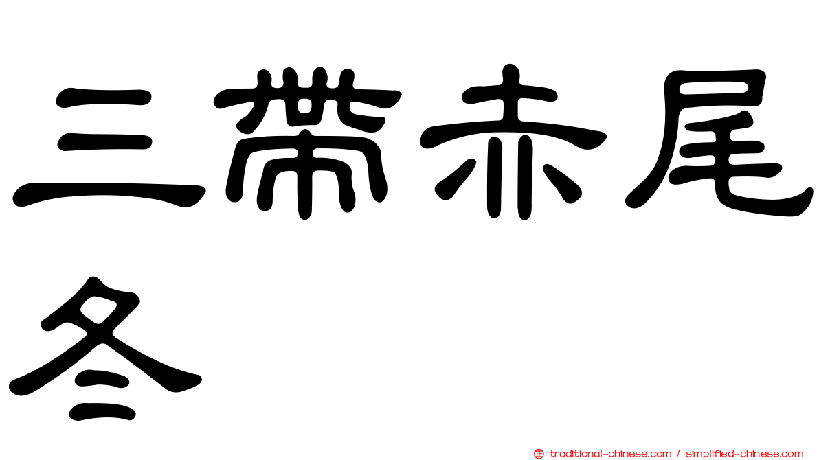 三帶赤尾冬