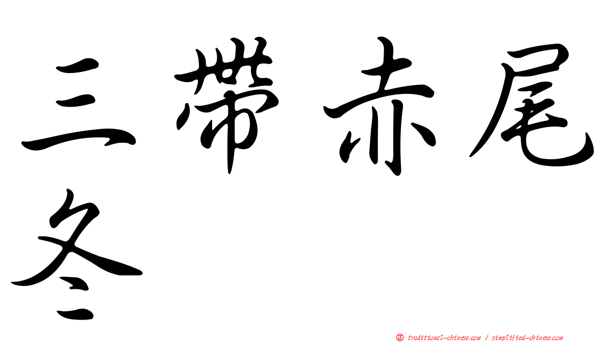 三帶赤尾冬