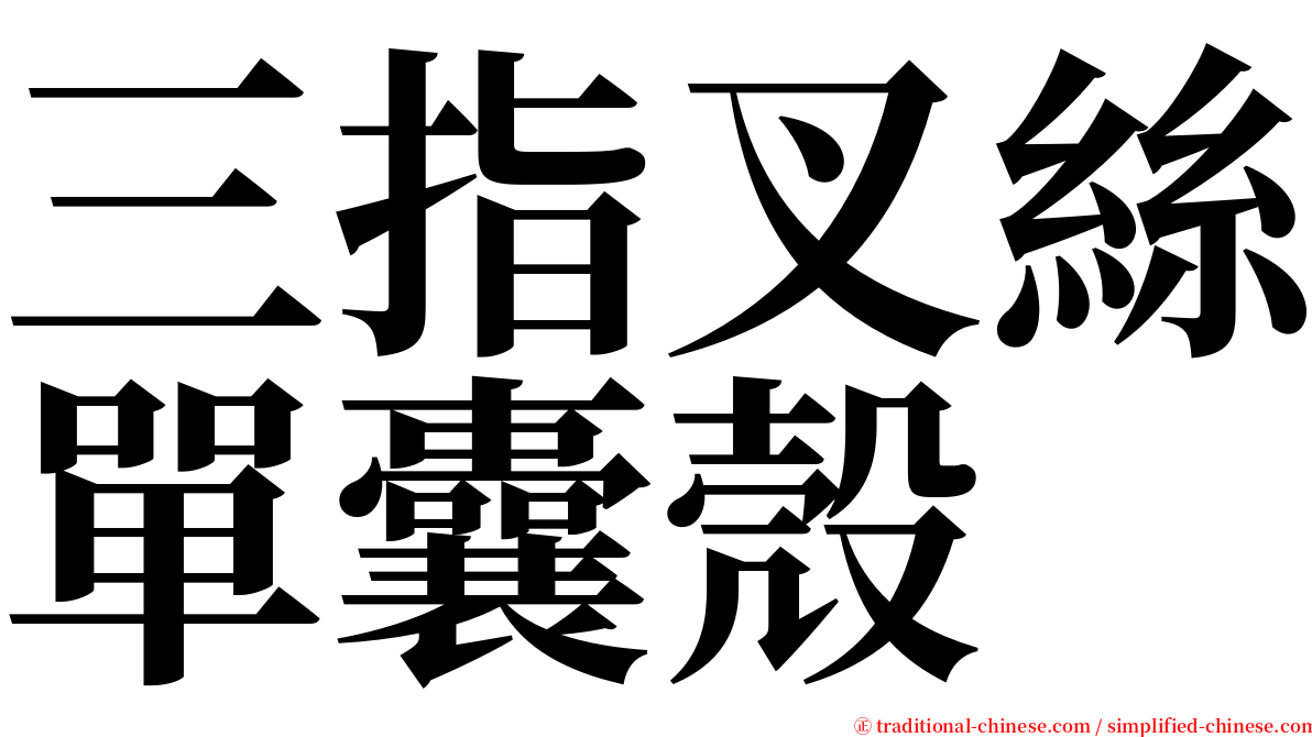 三指叉絲單囊殼 serif font