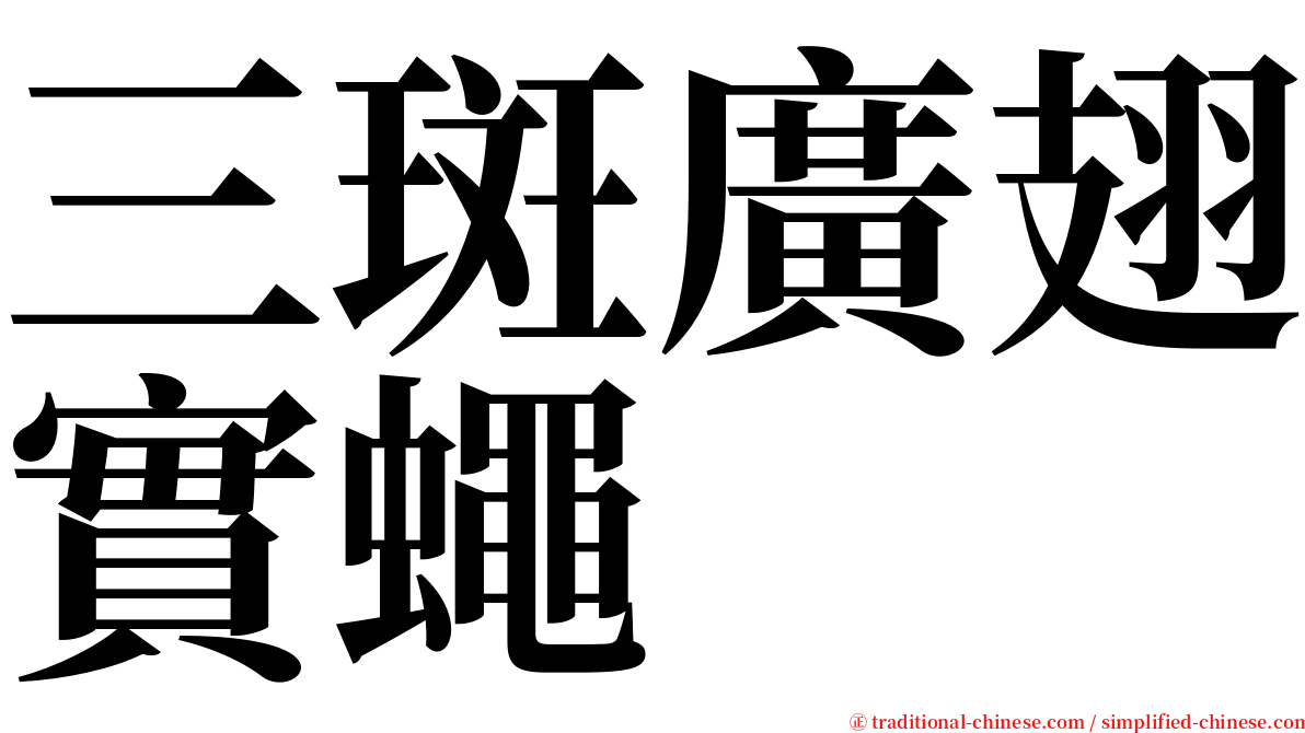 三斑廣翅實蠅 serif font