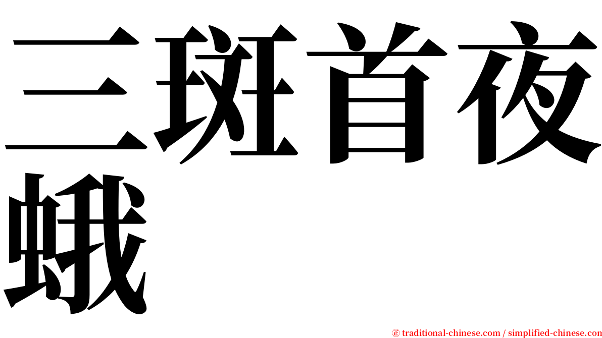 三斑首夜蛾 serif font