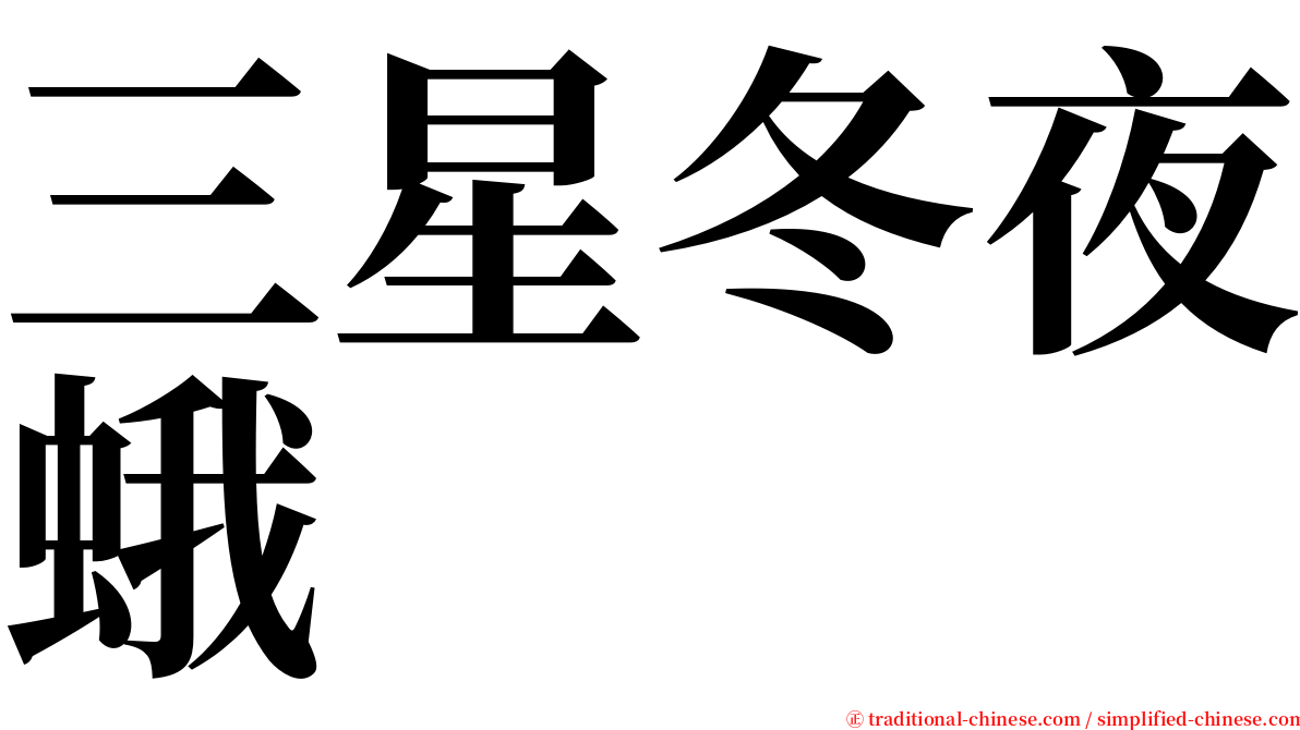 三星冬夜蛾 serif font