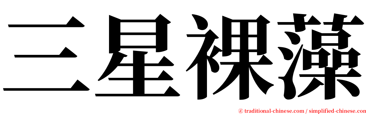 三星裸藻 serif font