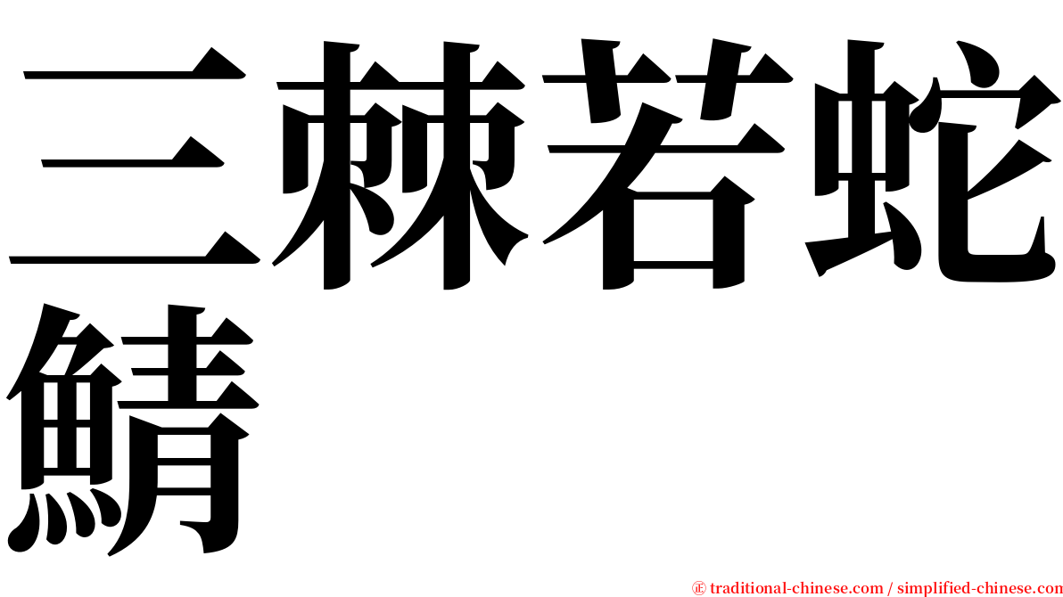 三棘若蛇鯖 serif font