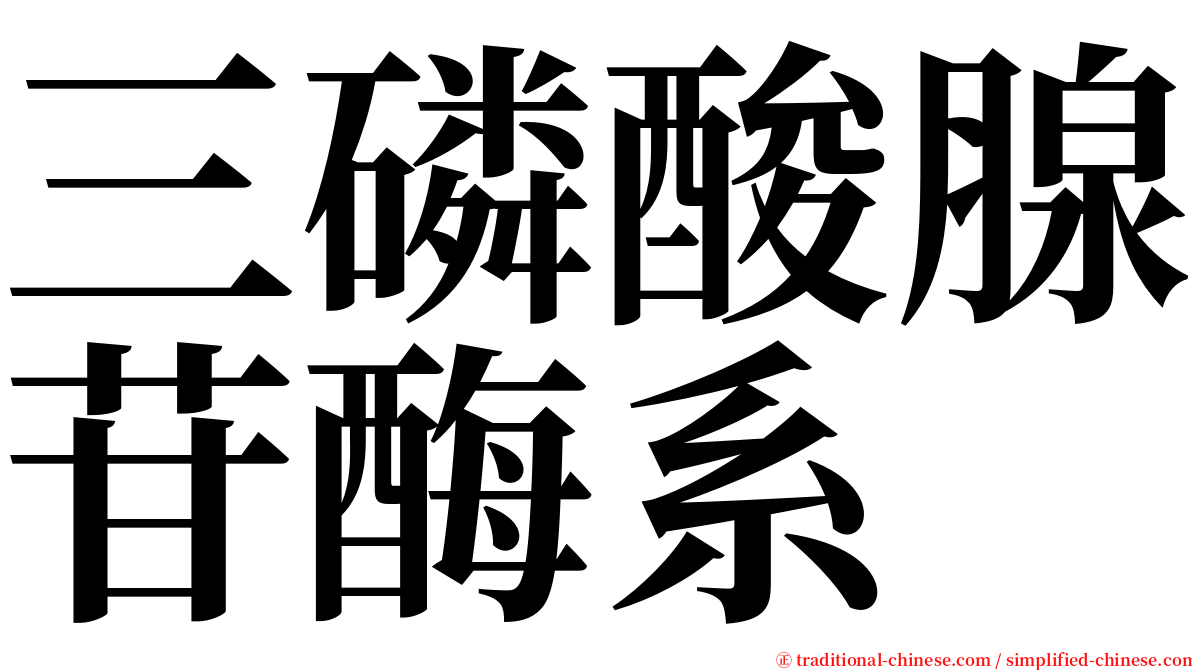 三磷酸腺苷酶系 serif font